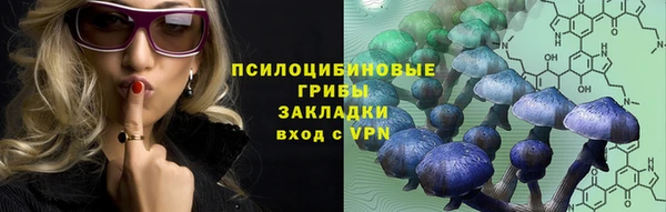 метадон Ельня