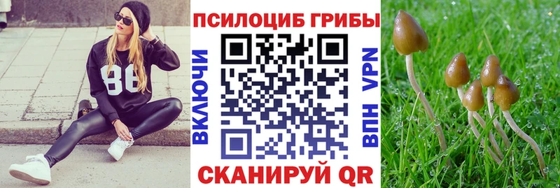 Галлюциногенные грибы ЛСД купить закладку Курлово