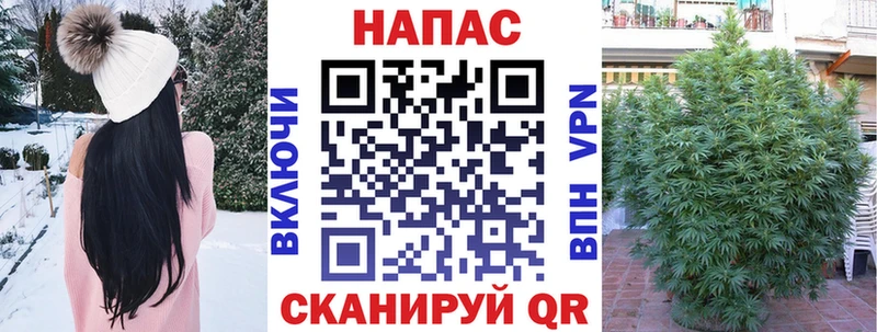 omg ТОР  Курлово  Шишки марихуана THC 21% 